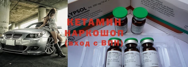 шишки Гусиноозёрск