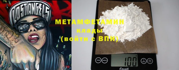 шишки Гусиноозёрск