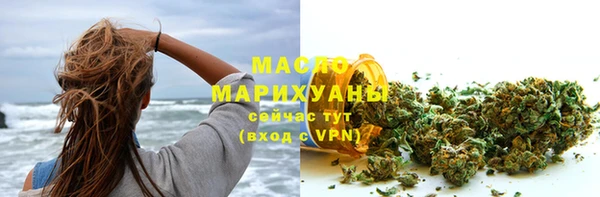 шишки Гусиноозёрск