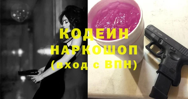 шишки Гусиноозёрск