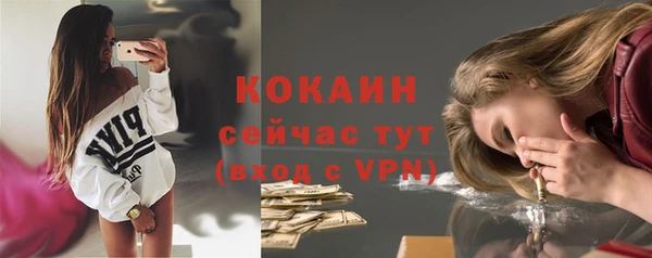 шишки Гусиноозёрск