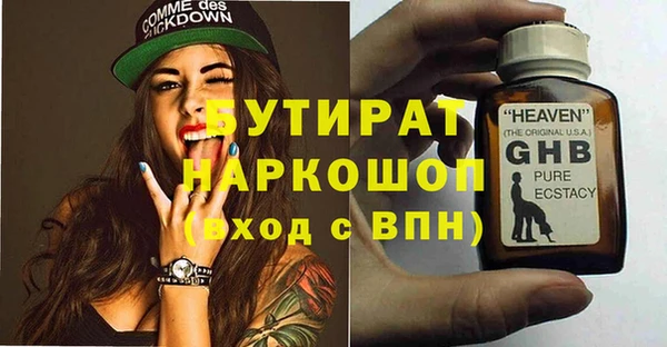 шишки Гусиноозёрск