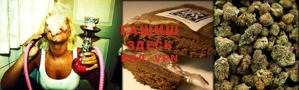 шишки Гусиноозёрск