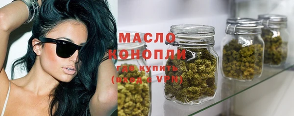 шишки Гусиноозёрск