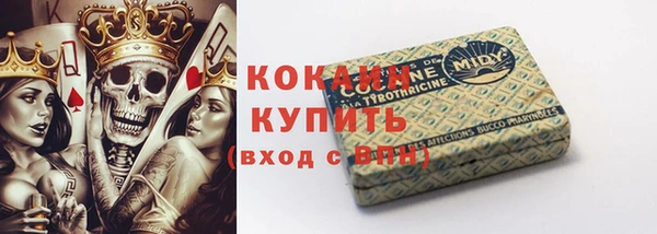 шишки Гусиноозёрск