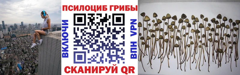 Псилоцибиновые грибы мицелий Ермолино